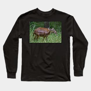 deer Long Sleeve T-Shirt